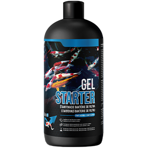 Gelové startovací bakterie