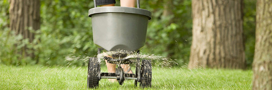 Hnojivo – správný postup a výběr hnojiv je základ úspěchu!